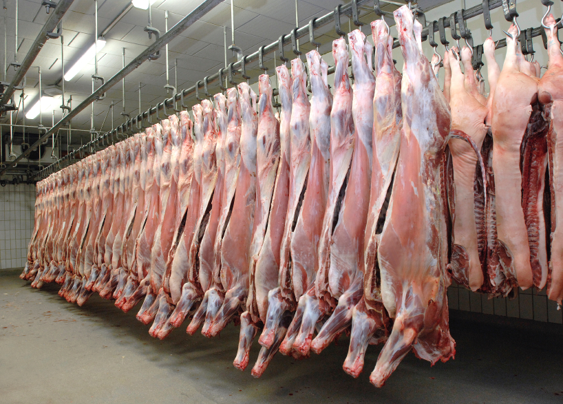 jharkhandgovttocloseallillegalslaughterhouses
